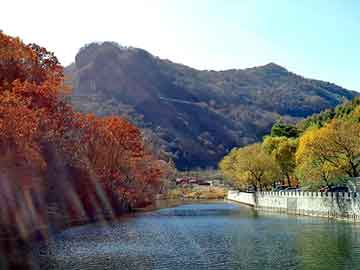 澳彩资料免费长期公开，茅山鬼道